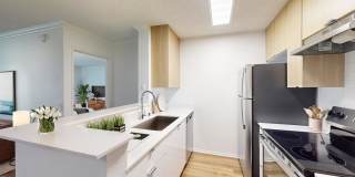 Eight 80 Newport Beach Gallery 23