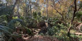 Hogtown Creek 1/1! Gallery 4