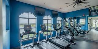 Muir Lake Gallery 41