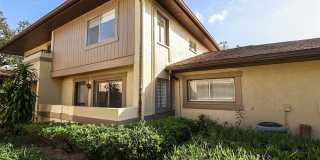 2913 LICHEN LANE Gallery 1