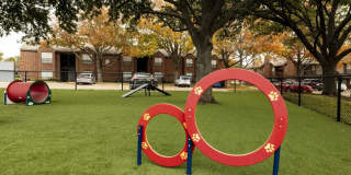 Mount Vernon Gallery 25