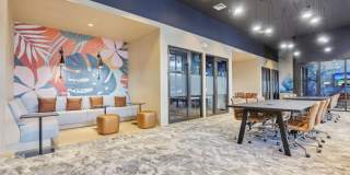 Avida Aventura Gallery 23