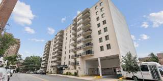 Georgia West Gallery 41