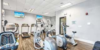 Elements on Third Gallery 33