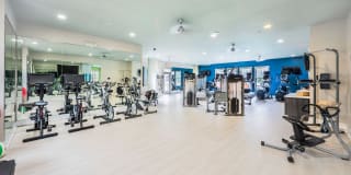 Element Carolina Bay Element Carolina Bay Gallery 6