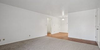 Country Woods Gallery 25