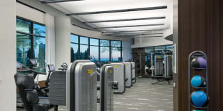 The Dagny Gallery 38