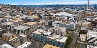 Novi at Queen Anne Gallery 24