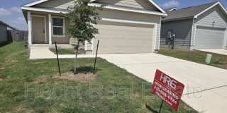 9262 Honey Mesquite Gallery 1