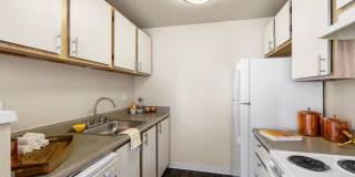 Avana Star Lake Gallery 71