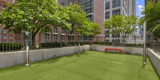 State & Chestnut Gallery 41