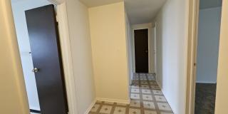 8254 Meadowlark Drive - 1 Gallery 13
