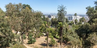 The Vantage Gallery 46