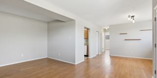 521 Epsom Road - 2C Gallery 3