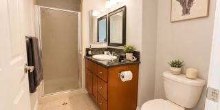 12245 Shady Hollow Ln Gallery 19