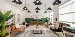 The Village at Lake Lily Gallery 7