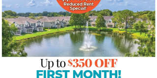 Summer Cove Gallery 1