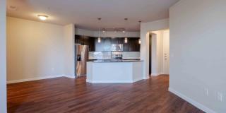 Tree Apartments Gallery 14