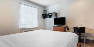 Montgomery Gallery 15