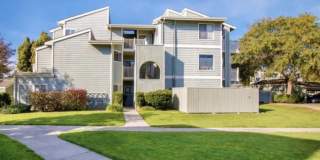 3514 Birchwood Ter Apt 304 Gallery 14