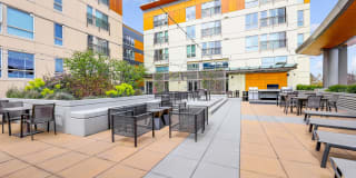 Spruce Gallery 30