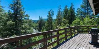 Lake Rights Property!! Terrific Alpine Chalet!! Gallery 14