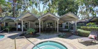 Pinewood Apartments Gallery 4