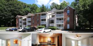 1503 LINCOLN WAY 301 Gallery 1