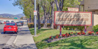 Bayshore Estates Gallery 13