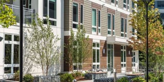 Tempo Cambridge Gallery 42