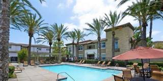 290 Riverdale Ct Apt 1108 Gallery 12