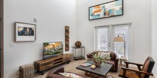 Lola Apartments Gallery 10