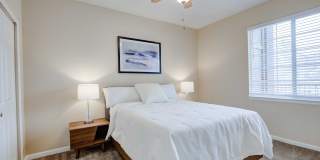 Addison at Cherry Creek Gallery 26