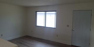 402 North 19th Avenue - 404 Gallery 5