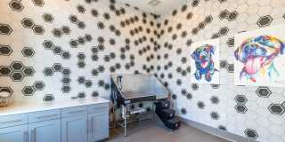 The Marlow Gainesville Gallery 7