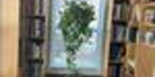 213 Marshall Road, Fayetteville, NC 28303 Gallery 13