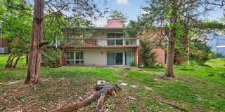 9404 Woodington Drive Gallery 45