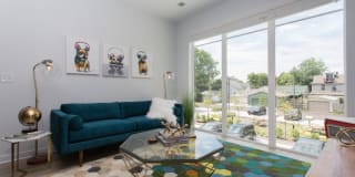 Pinnex Gallery 29