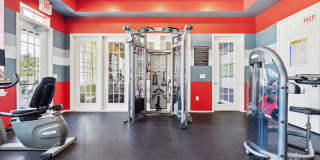 Vista Lake Ned Gallery 58