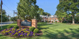 Rodgers Forge Gallery 29