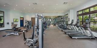 Bell Trelago Gallery 33