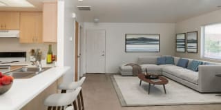 Lakeside Village Gallery 10