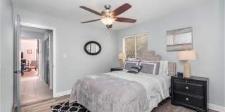 2100 Peppertree Street Gallery 4