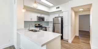 The Michael B Townhomes and Flats Gallery 23