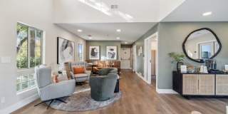 Terra at Portola Park Gallery 21