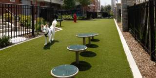 Avalon Harrison Gallery 21