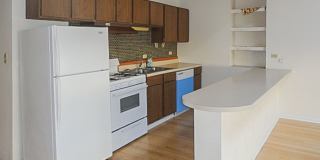 2519-27 N Lincoln Gallery 24