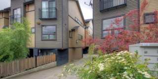 Charming 3BD/2.5BTH Ballard Townhome for Rent! Pet Friendly! Gallery 1
