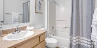 Cedar Breaks Gallery 9