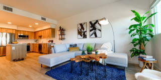 Rising Sun Gallery 74